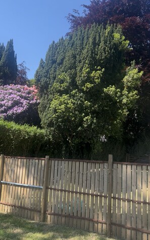 A garden is surrounded by a well-maintained fence with vertical slats and horizontal beams.