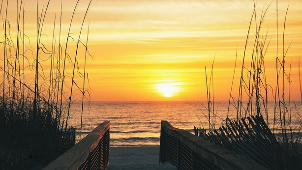 A sunset view from a wooden boardwalk leading to the ocean, with tall grasses on either side. - Private Pool | Pet Friendly | Sleeps 10 | Gulf Views (Cape San Blas)