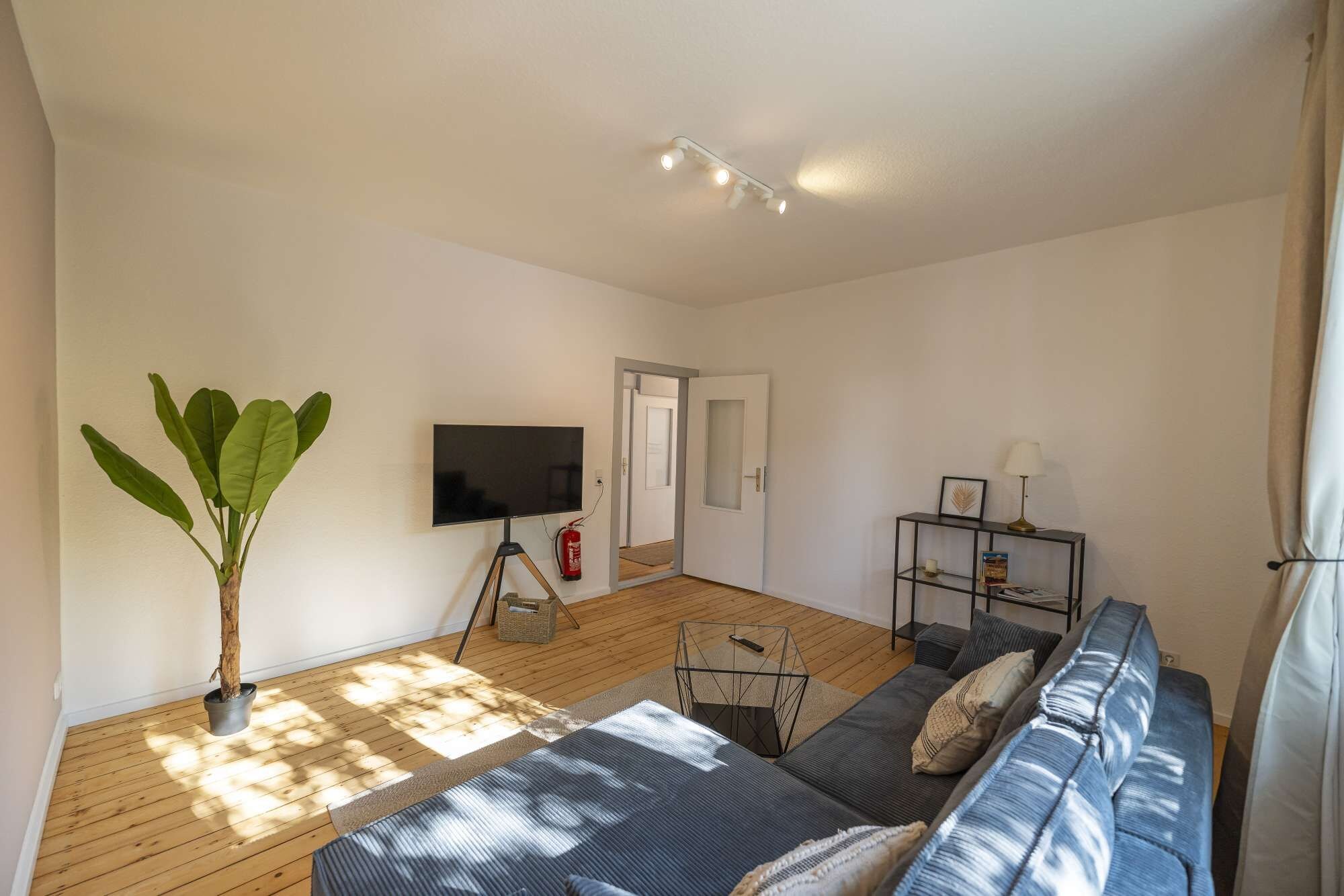 Een woonkamer met een bank, een televisie, een plant en een boekenkast.