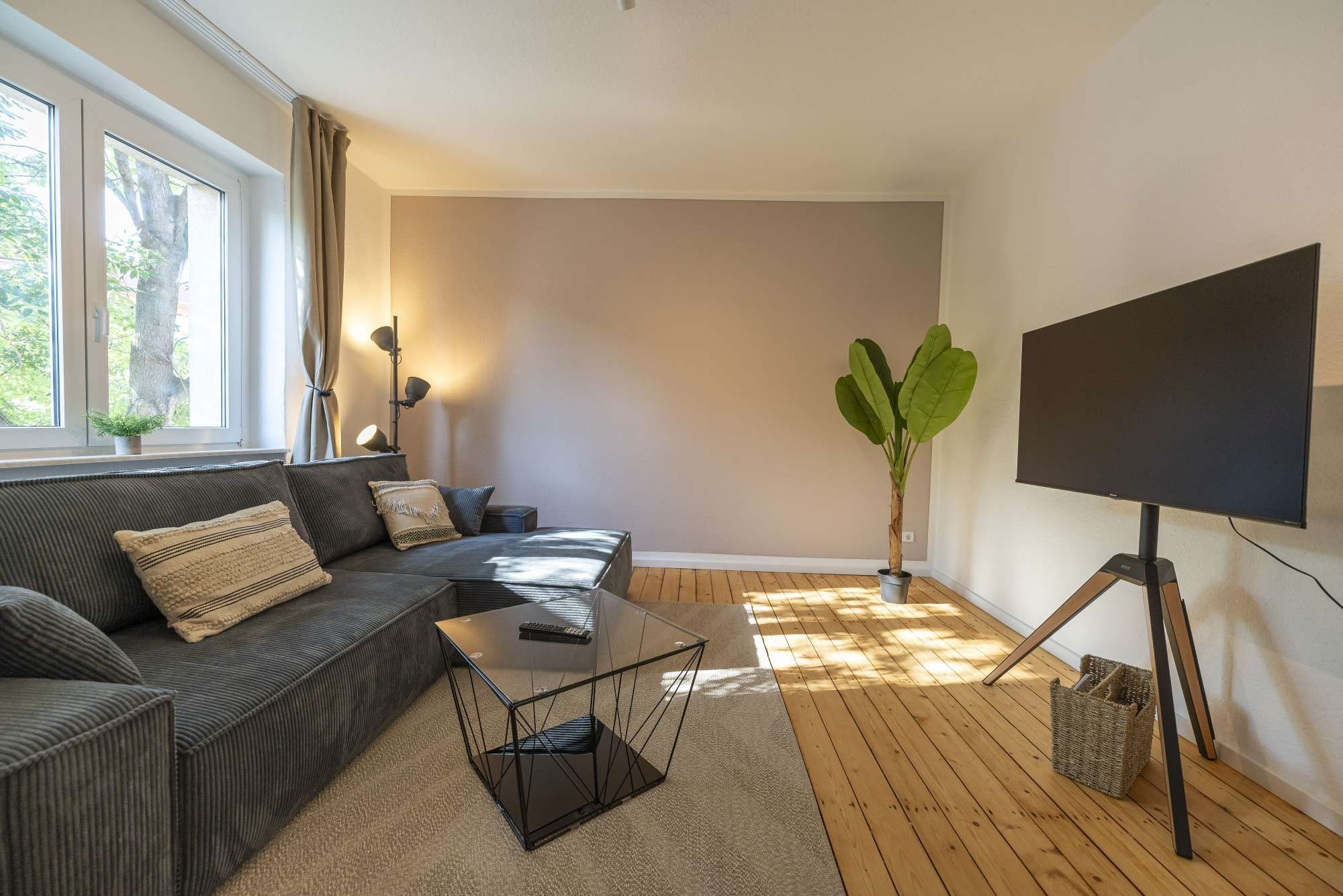 A modern living room with a sofa, a coffee table, a potted plant, and a TV on a stand.