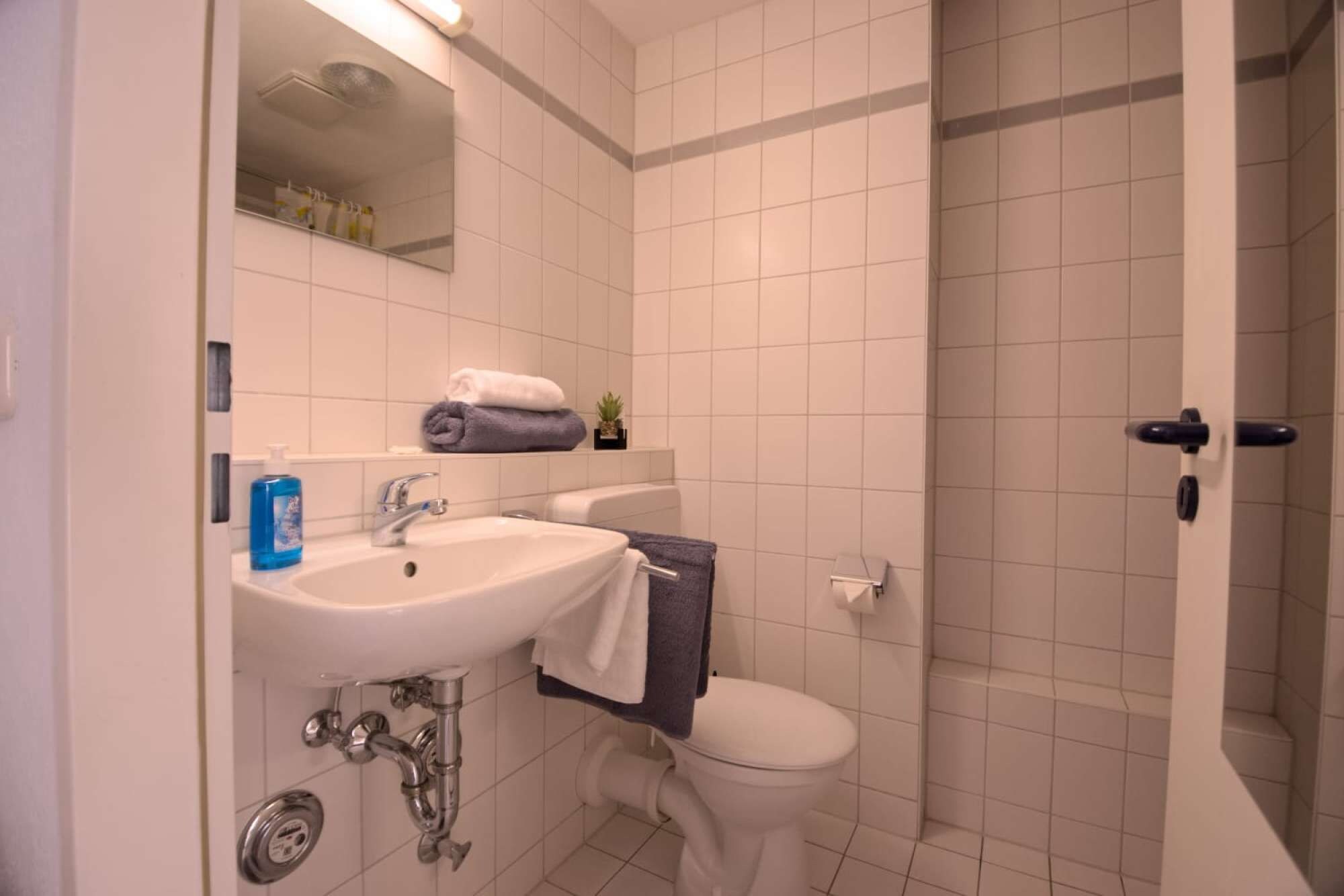 Ein Badezimmer mit Waschbecken, Toilette und Dusche.