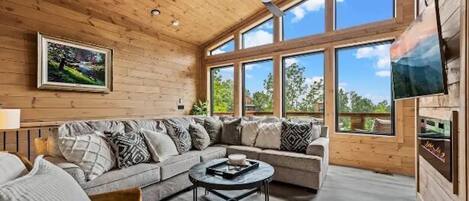 TV, fireplace, offices