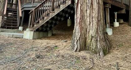 Sugarpine Hideaway