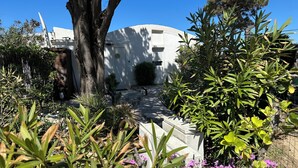 Un jardin avec un bâtiment blanc, un grand arbre et diverses plantes et fleurs.