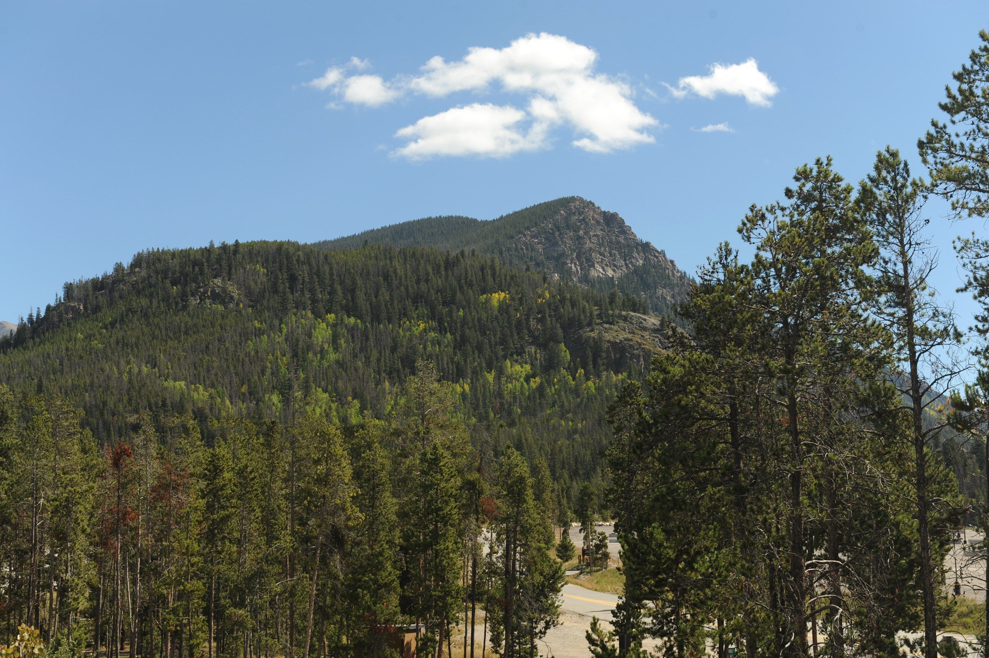 A mountain with dense forest and a clear sky.