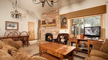 Televisión, chimenea y reproductor de DVD