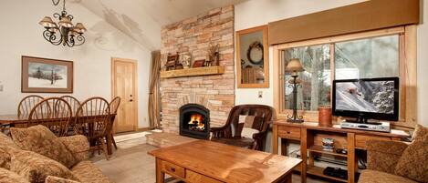 Televisión, chimenea, reproductor de DVD