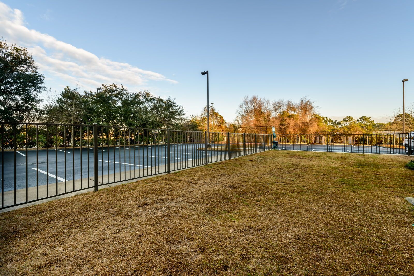 Ein Basketballplatz im Freien mit einem Metallzaun, umgeben von Bäumen und Gras.