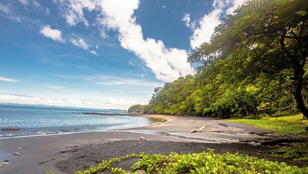 A beach with a clear sky, calm water, and lush greenery. - Villa Cielo — 3BR Oceanview Pool, Ocotal CR (Ocotal)