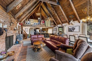 TV, fireplace, books