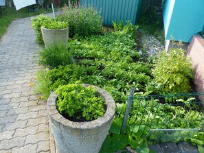 Overnatningsstedets område