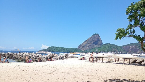Una playa con costa rocosa, una montaña al fondo y un árbol que da sombra.