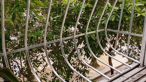Una barandilla de metal con diseño curvo, con vistas a un jardín con vegetación densa.