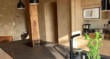 Grande et belle maison au milieu des vignes