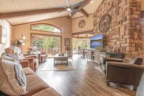 TV, fireplace, offices