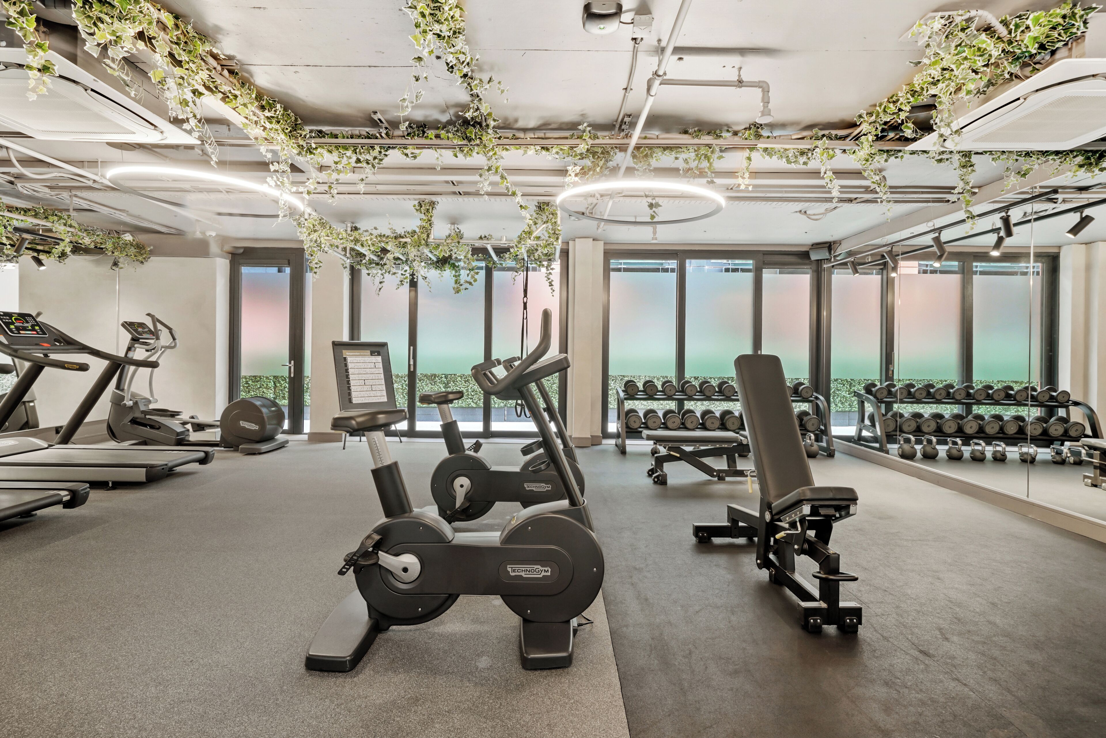A gym with cardio machines, dumbbells, and hanging plants.