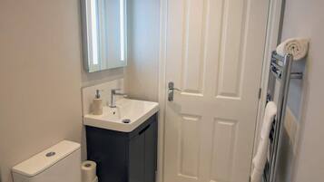 A bathroom with a toilet, sink, mirror, and shower area.