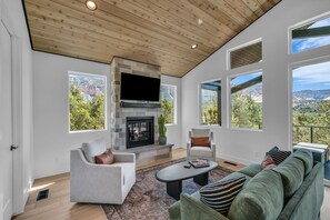 Smart TV, fireplace, video games, books