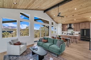 Smart TV, fireplace, video games, books