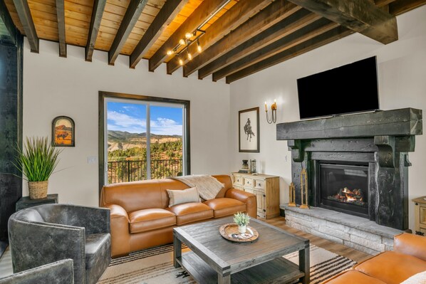 Smart TV, fireplace, video games, books