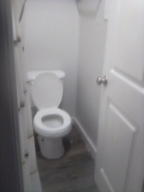 Sapone, carta igienica