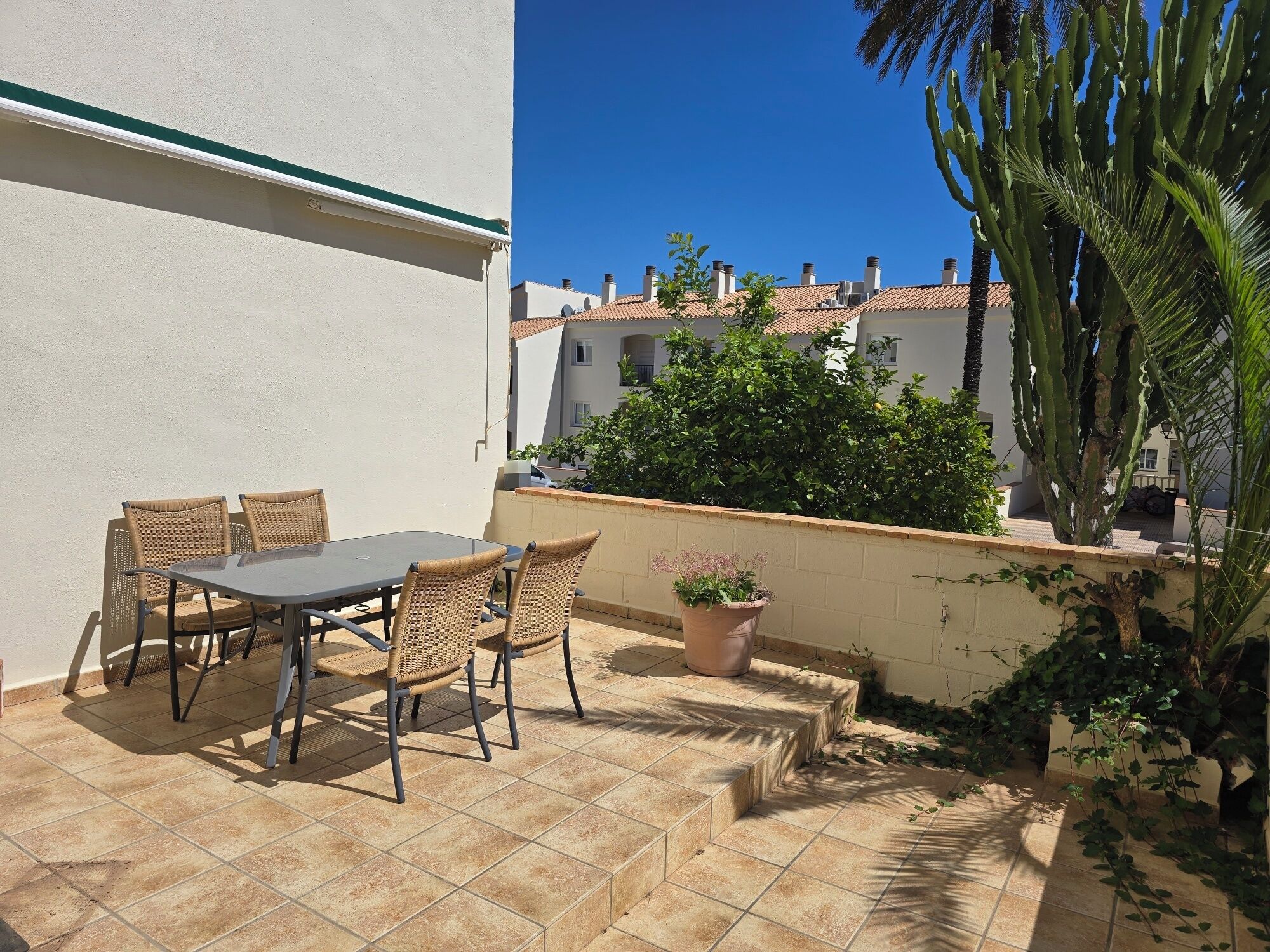 An outdoor patio with a table and chairs, a potted plant, and a view of buildings and a cactus in the background.
