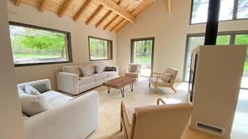 TV connectée, cheminée, livres