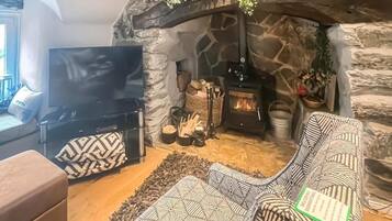 Smart TV, fireplace, books