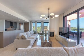 Smart TV, fireplace, books