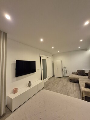 Un salon moderne avec un téléviseur à écran plat, un canapé, un meuble et une armoire.