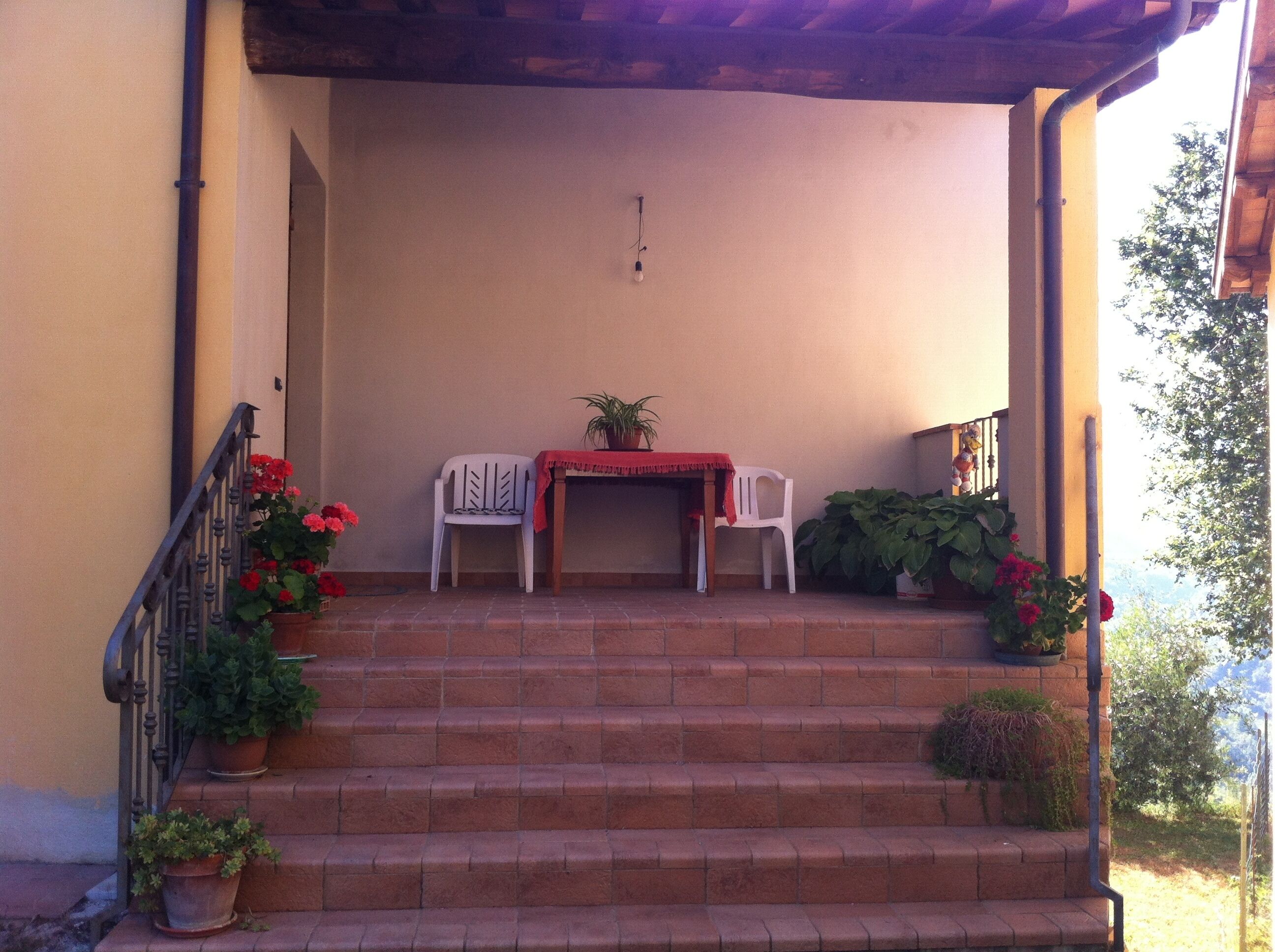 Parco della struttura