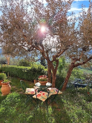 Restauration en plein air