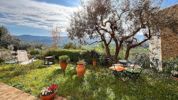 A garden with a table and chairs, a large tree, and a view of the countryside.