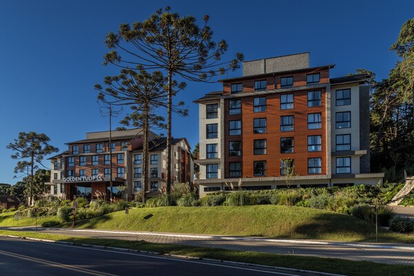 Golden Tulip Canela Oficial - Canela