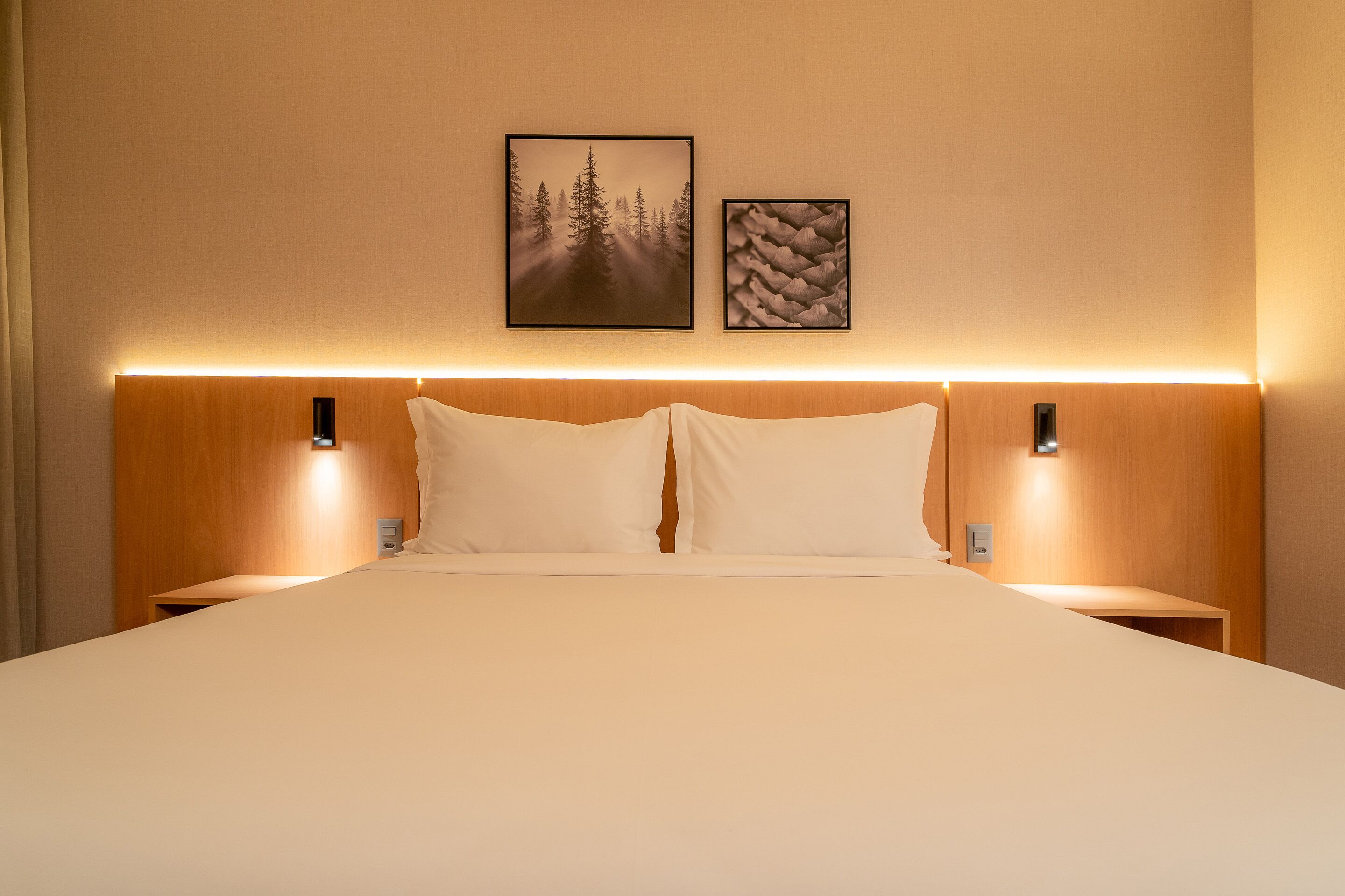 A large bed with two white pillows, a wooden headboard, and two bedside tables with wall-mounted lamps.