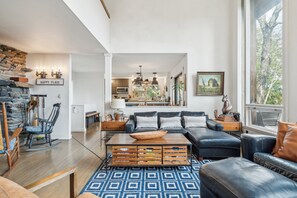 TV, fireplace, video games, DVD player