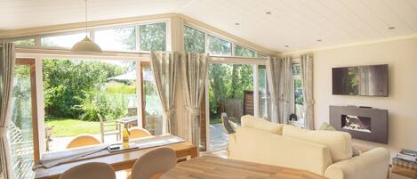 Télévision, cheminée