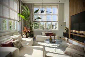 Smart TV, fireplace, books, stereo