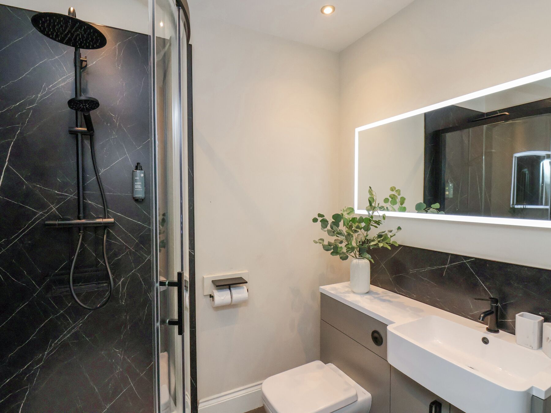 Shower, hair dryer