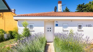 Exterior - Villa Ziziphus - Private Pool With Jacuzzi (Medulin)
