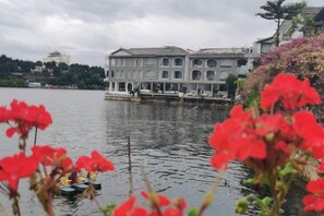صورة غير مصنفة، 3 من 20، زرّ