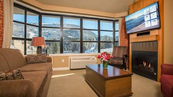 TV, fireplace, DVD player