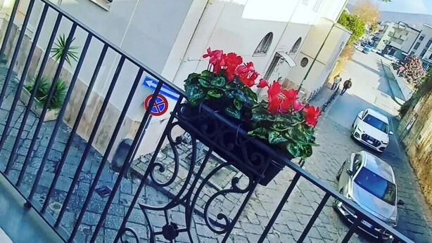 Un balcon orné d’une balustrade en fer forgé et d’une jardinière remplie de fleurs rouges.