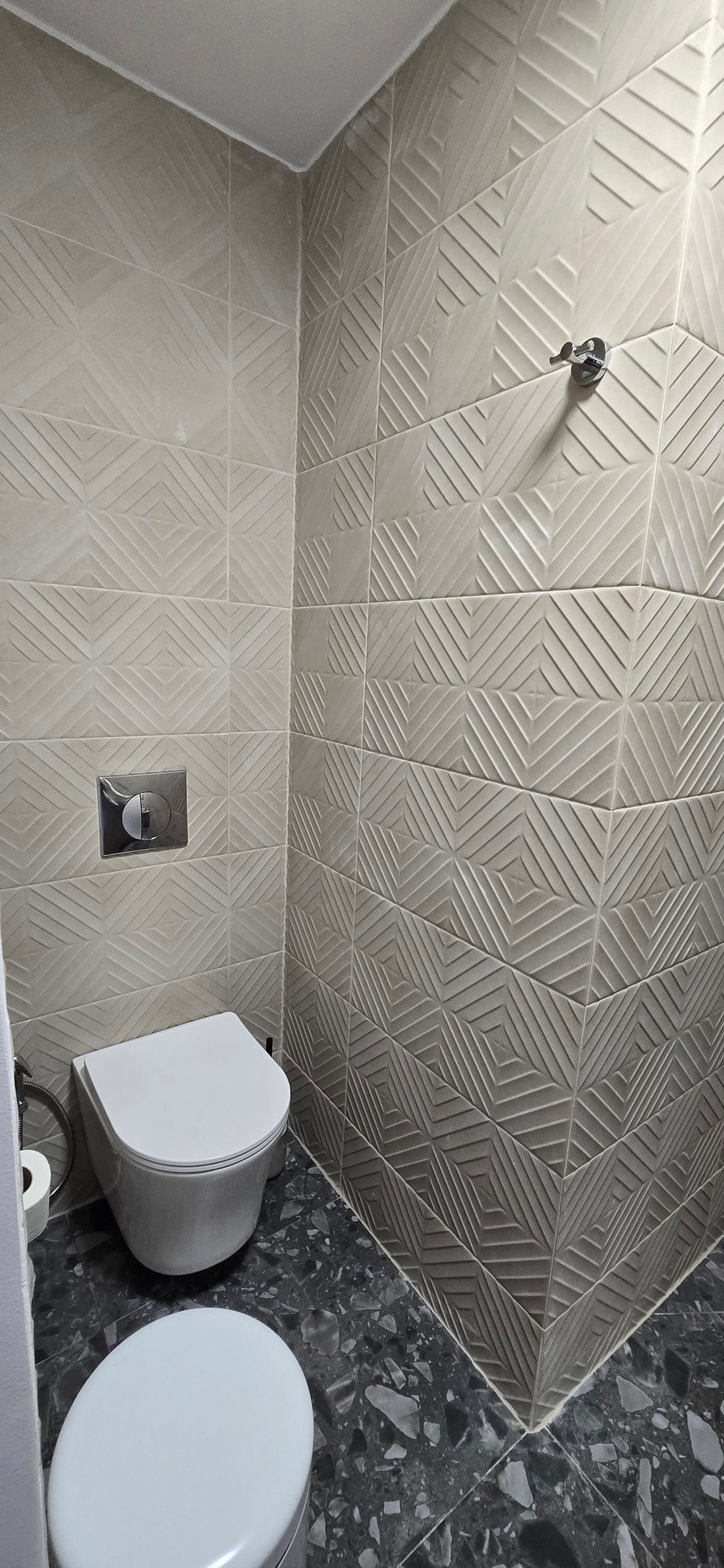 A bathroom with a toilet, a shower, and a patterned wall.
