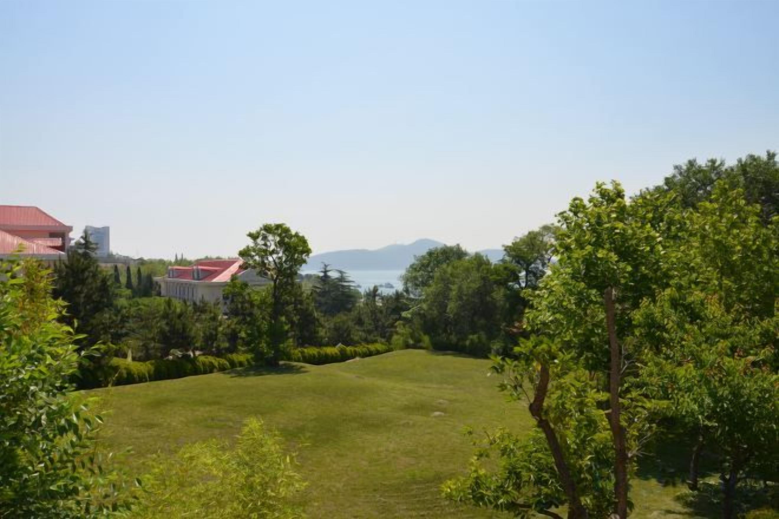 A grassy area with trees and buildings in the background.