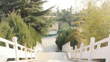 Terrein van de accommodatie