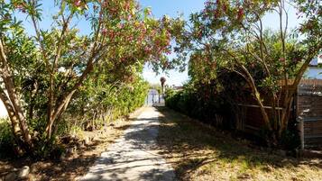 House | View from property