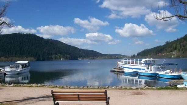 A lakeside view with a bench, boats, and a forested hill. - Charming flat in the heart of Gérardmer (Gérardmer)