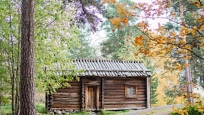 Eksteriør