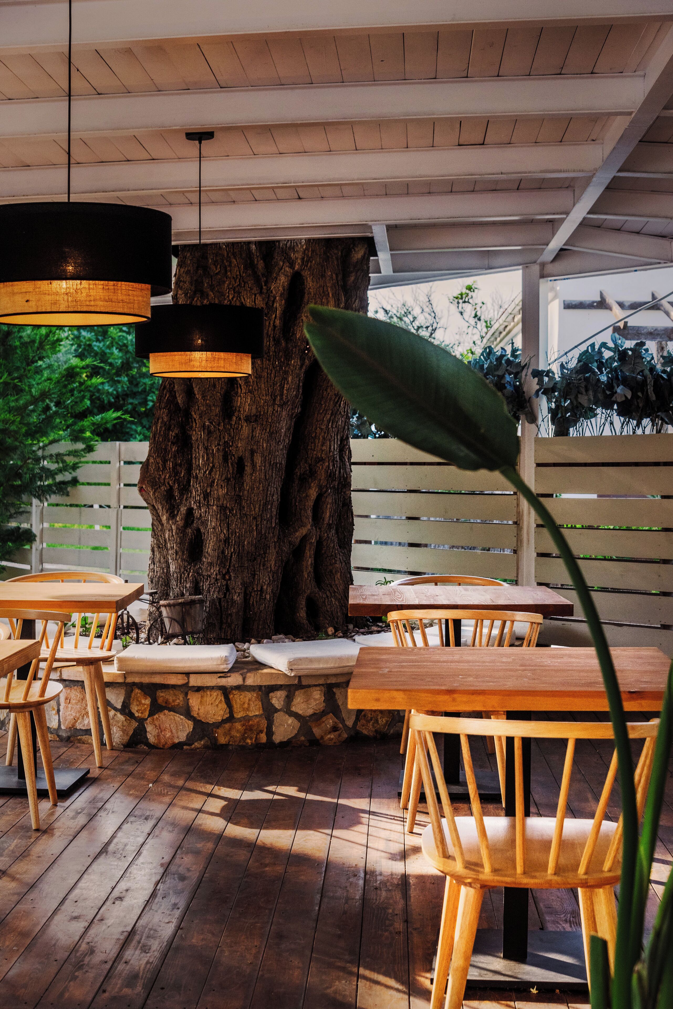 Une terrasse en bois avec des tables et des chaises, un grand tronc d’arbre et des lampes suspendues.